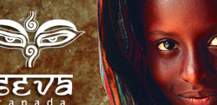 video vignette | Seva Canada